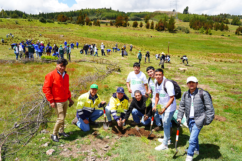 FONCREAGRO - 1.7 árboles plantados